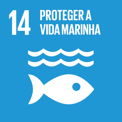 ODS 14 — Proteger a vida marinha