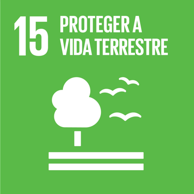 ODS 15 — Proteger a vida terrestre