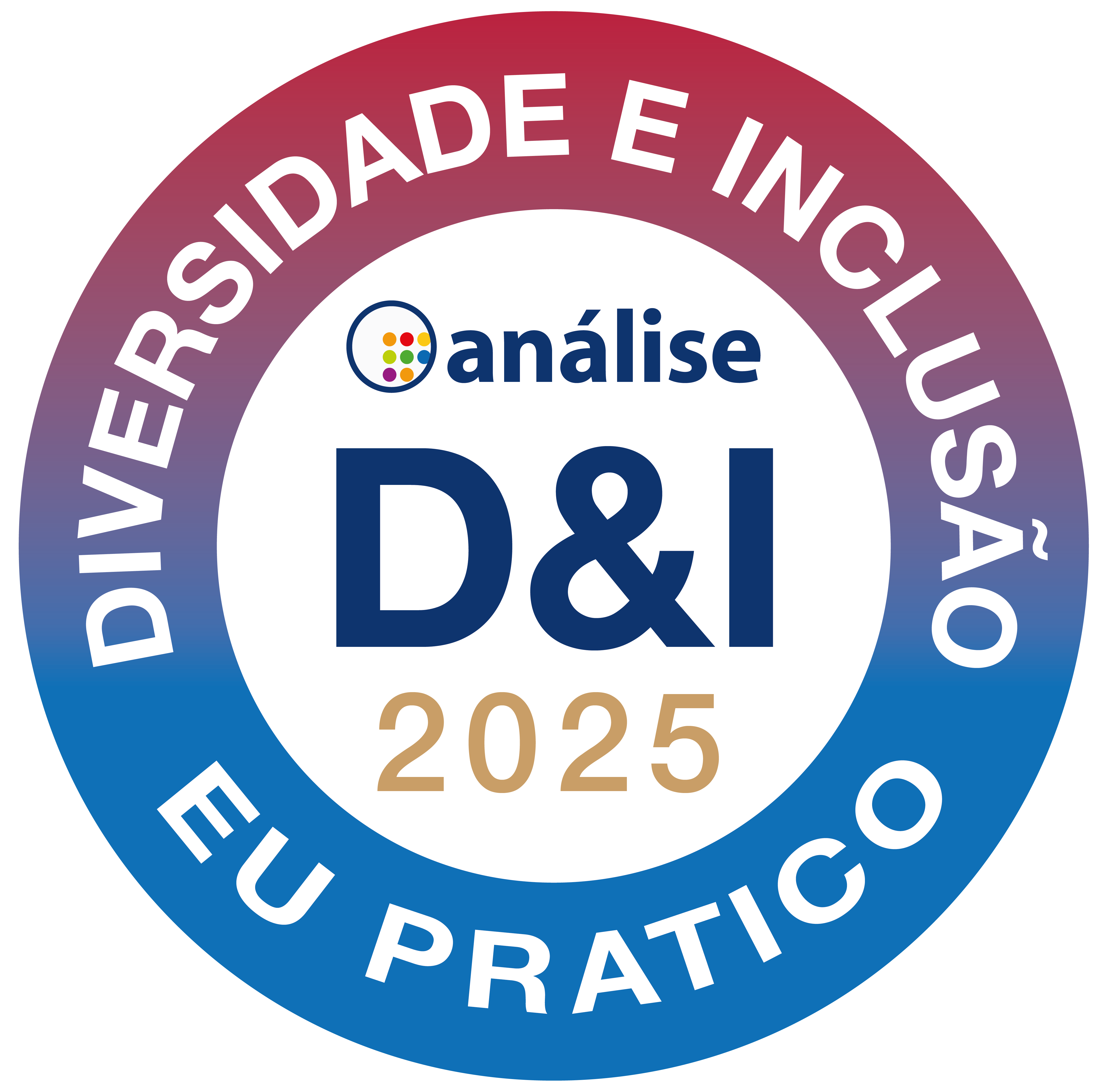 Análise D&I · 2025